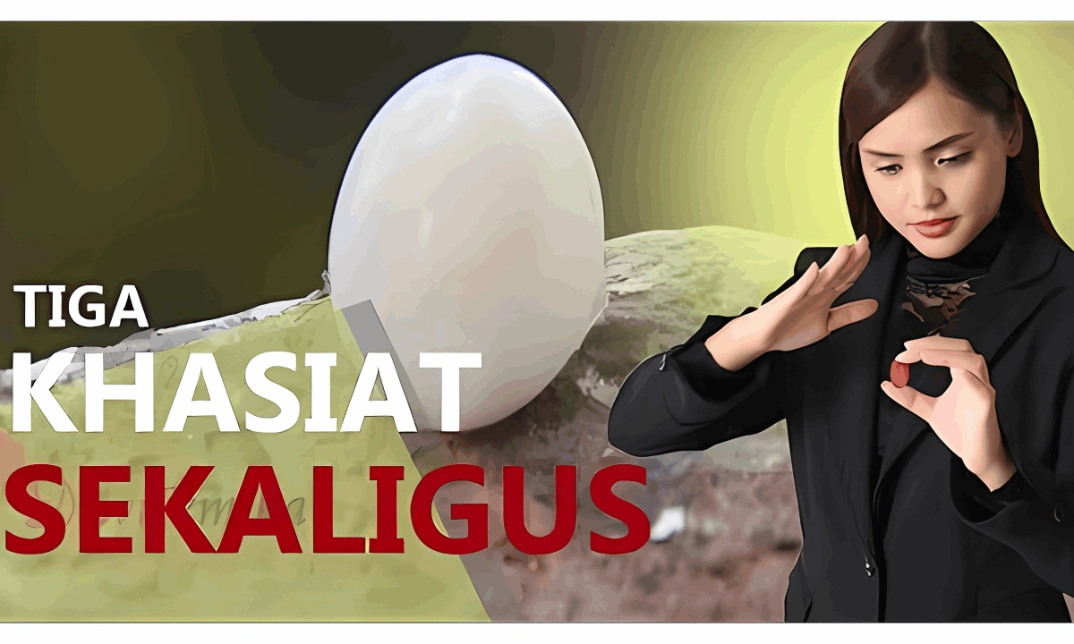 Batu Mustika Mani Gajah Super